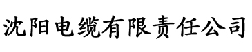 麻豆视频电缆厂logo